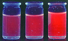 Fluorezenzmarker