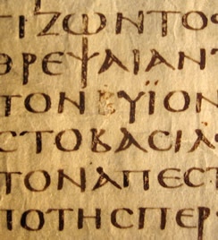 sinaiticus